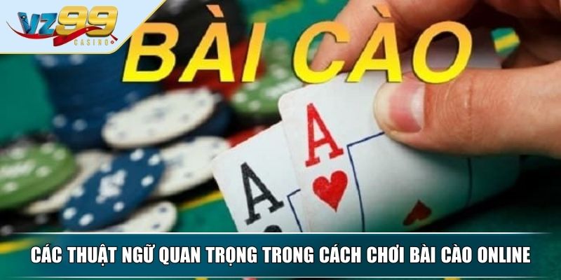 Cách Chơi Bài Cào Online Giúp Nhanh Chóng Thành Thạo 3 Các thuật ngữ quan trọng trong cách chơi Bài Cào online