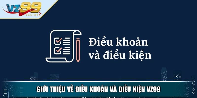 Điều Khoản Và Điều Kiện Dành Cho Người Mới Bắt Đầu 2 Giới thiệu về điều khoản và điều kiện VZ99
