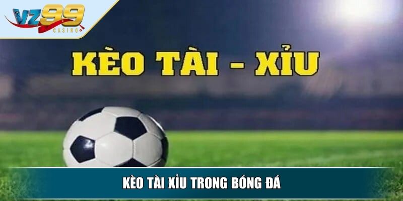 Kèo Tỷ Số - Hướng Dẫn Cách Đọc Kèo Chuẩn Từ Chuyên Gia 3 Kèo tài xỉu trong bóng đá